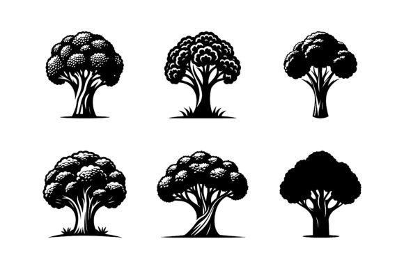 Broccoli Icon Set for Design Vector